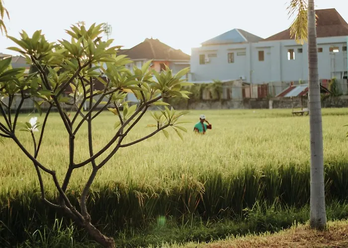 Mandari
